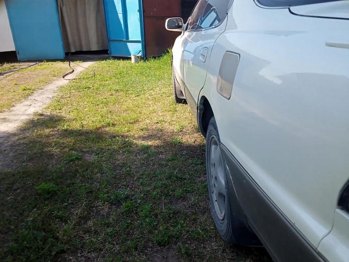 Продажа Toyota Camry в Славгороде Алтайского края